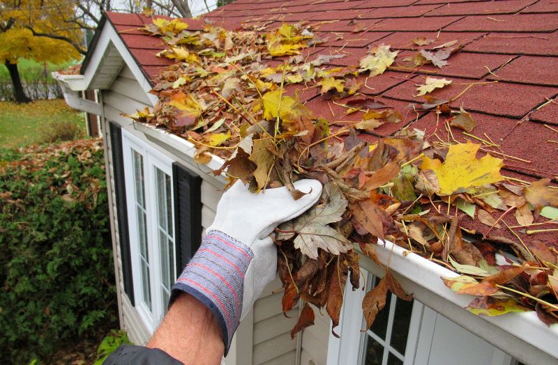 Fall Removal Services
